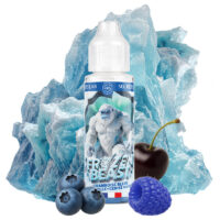Framboise Bleue Myrtille Cerise Noire – Frozen Beast 50 ml – Secret's Lab